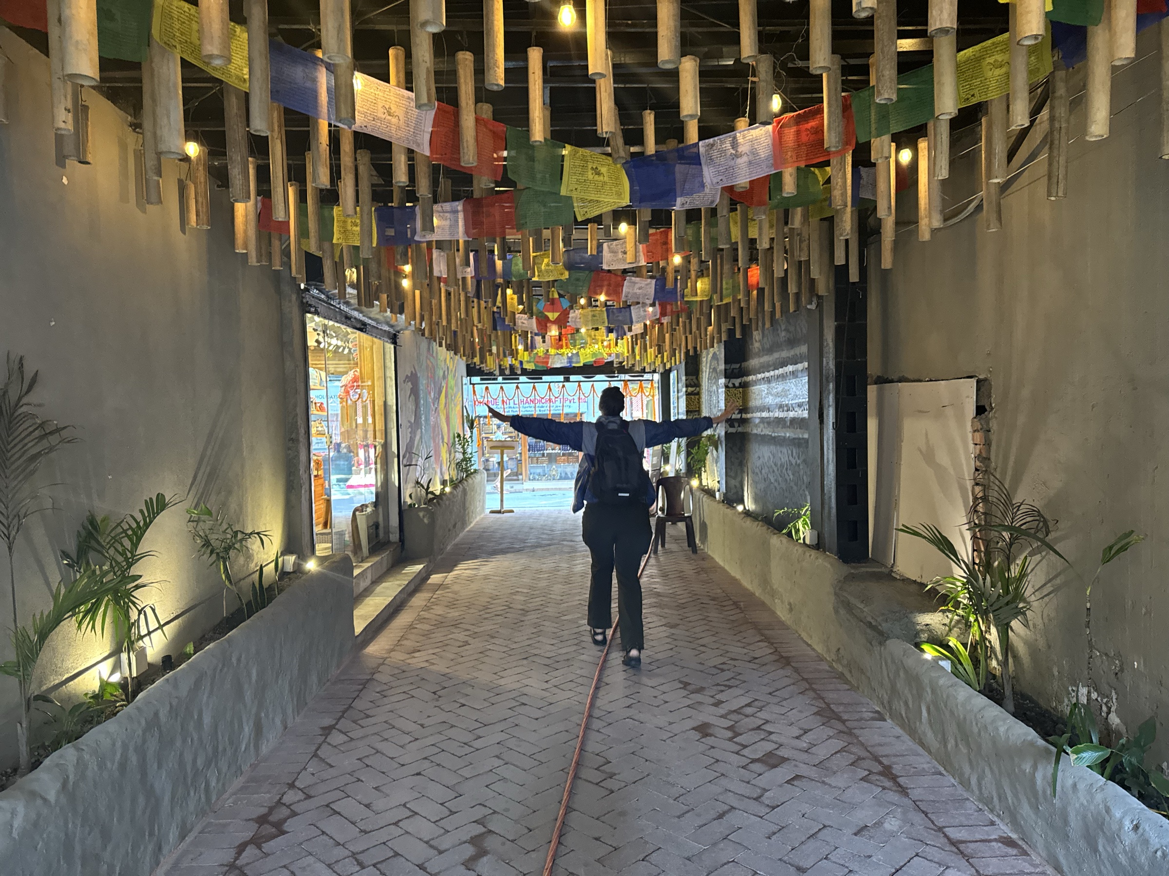A lane of the old city, canopied for the festival